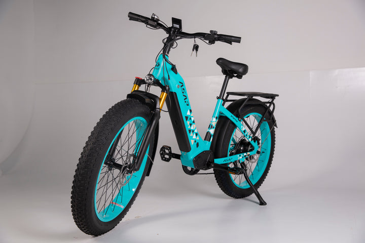 Adult Electric Bike (750W/45KM Range/ 42KMPH Top Speed) Sky Blue - Varna