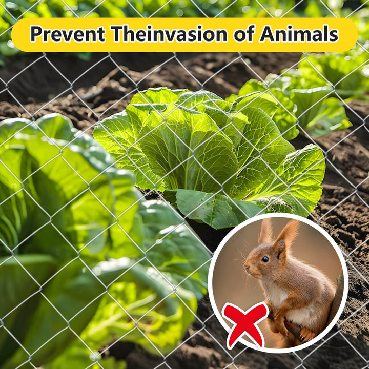 Vegetable garden with wire mesh fence