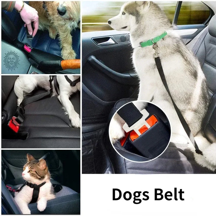 Vehicle pet safety harness with lead clip