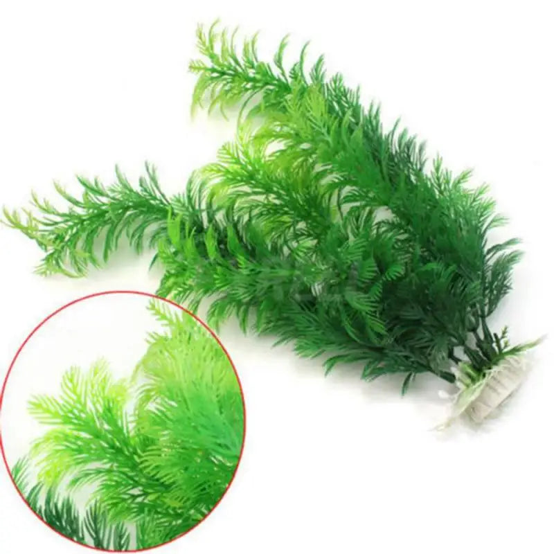 Vibrant aquarium plant ornaments.