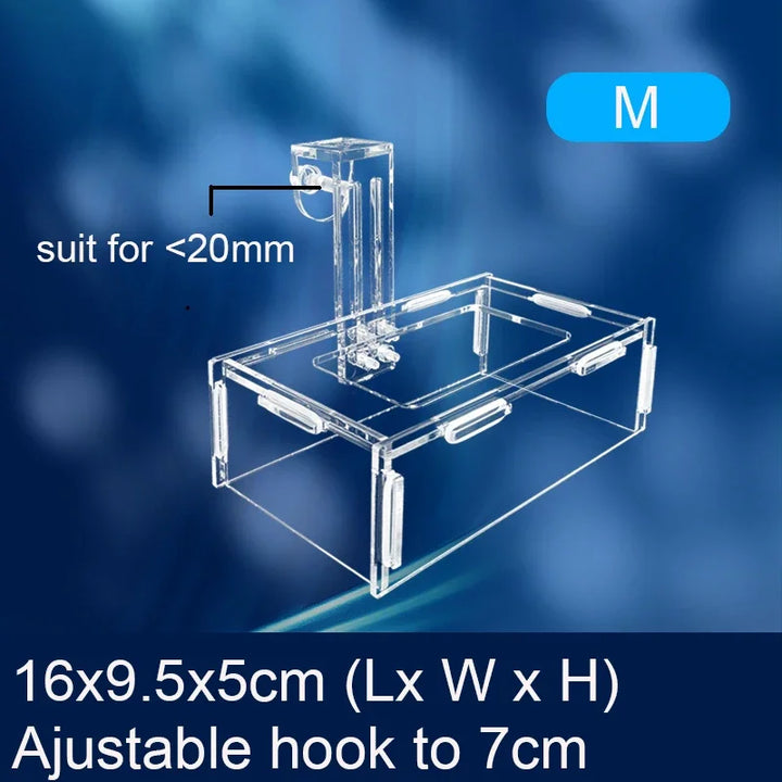 Wall-mounted feeding ring for aquatic setups