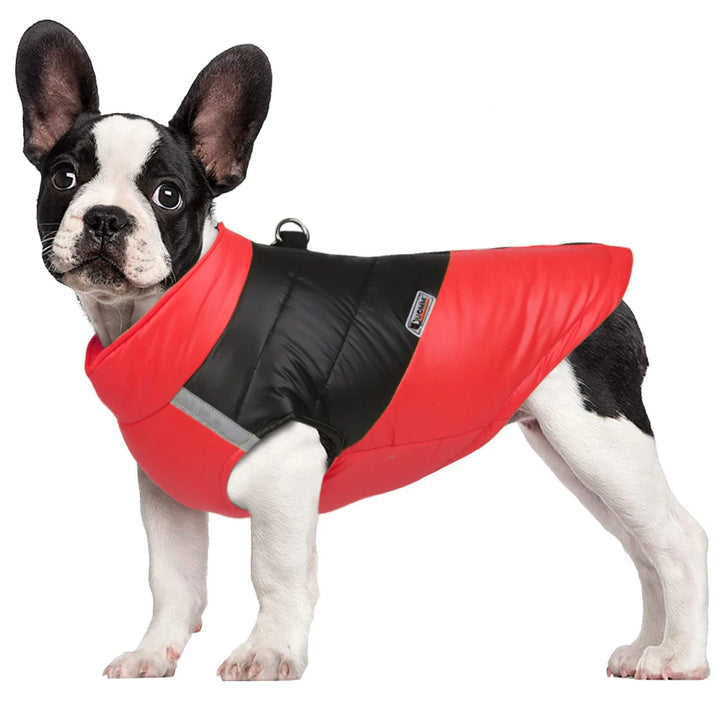 Warm Dog Coat For Small Dogs