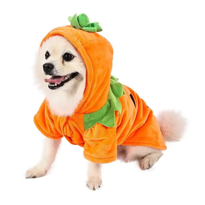 Warm Halloween hoodie for puppies