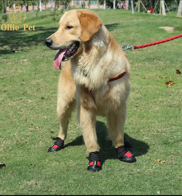 Waterproof Pet Shoes For All Seasons