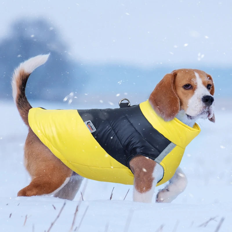 Waterproof Puppy Jacket For Winter