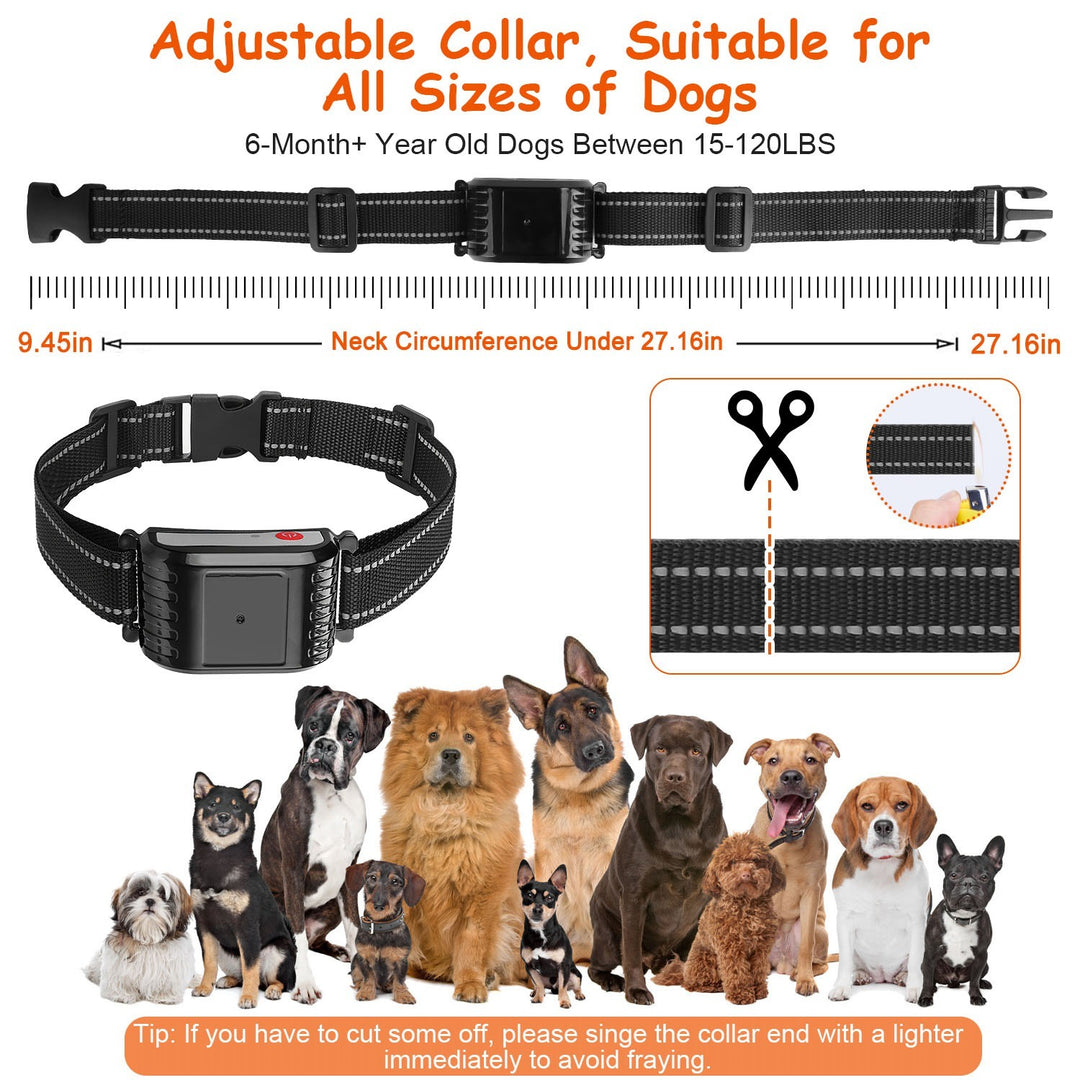 Waterproof pet shock collar system