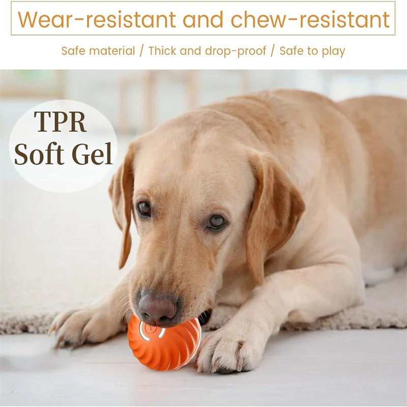 Wear-Resistant And Chew-Resistant