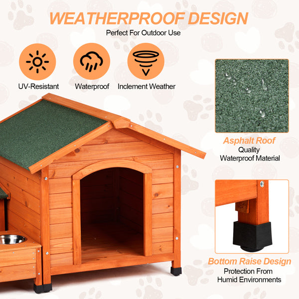Weatherproof Cat And Dog House Design