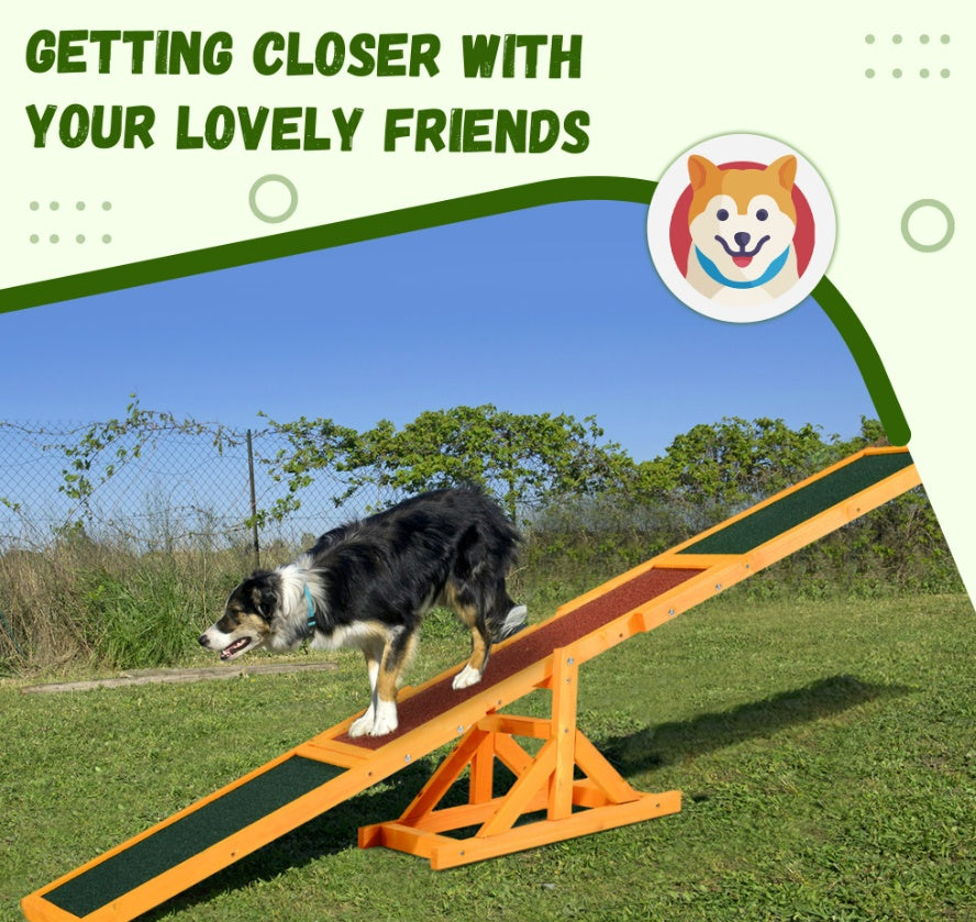 Weatherproof dog agility equipment for outdoors