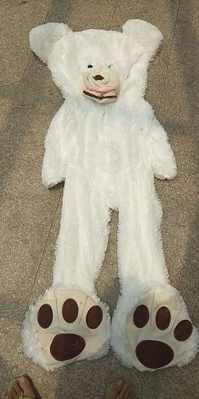 White Soft Teddy Bear