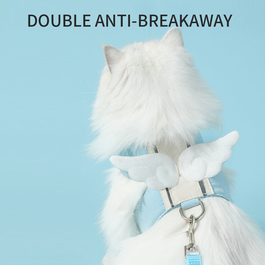 White fluffy dog wearing a blue harness