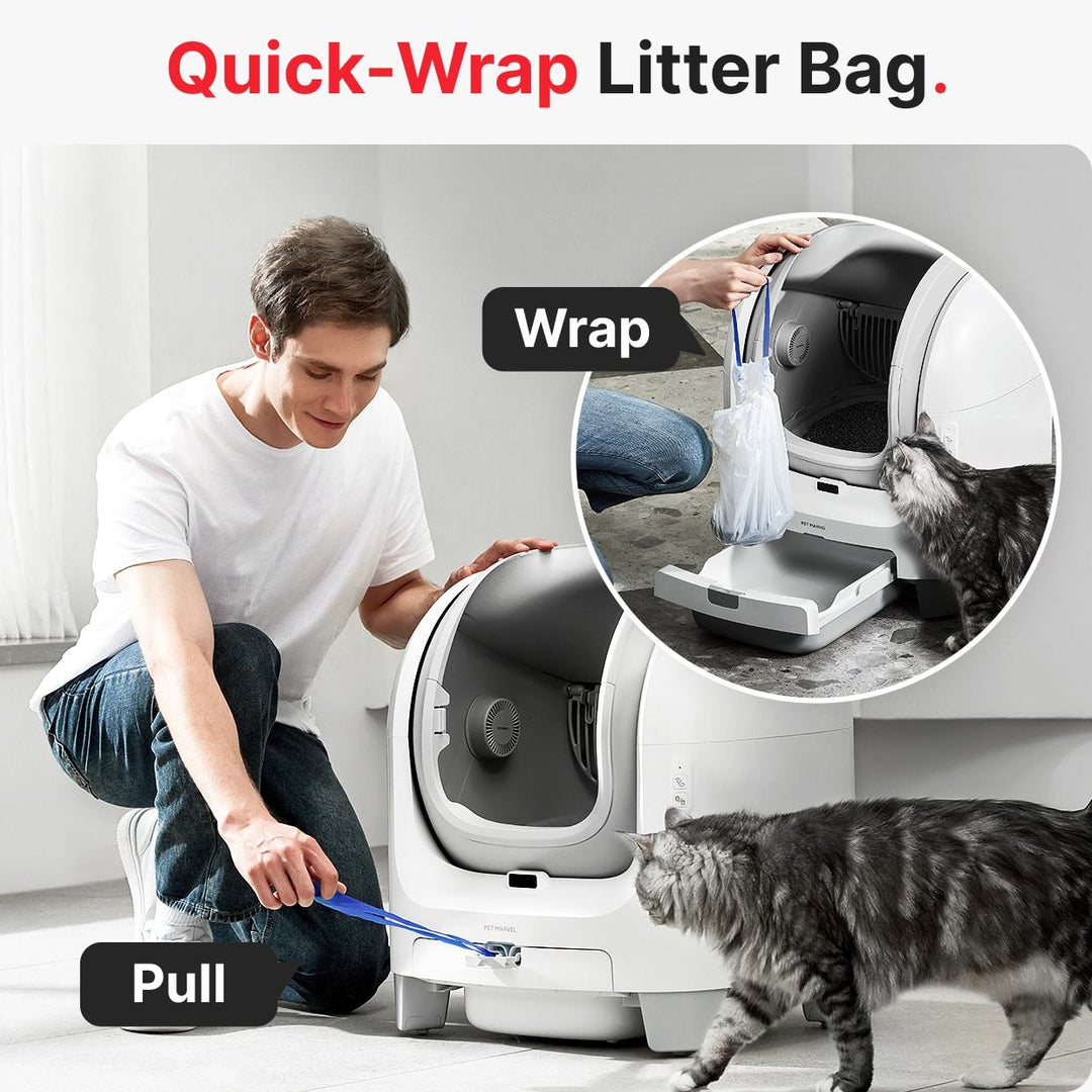 WiFi-enabled litter box