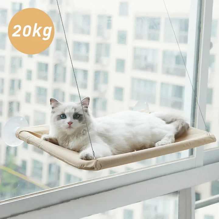 Window Seat Hammock for Kittens
