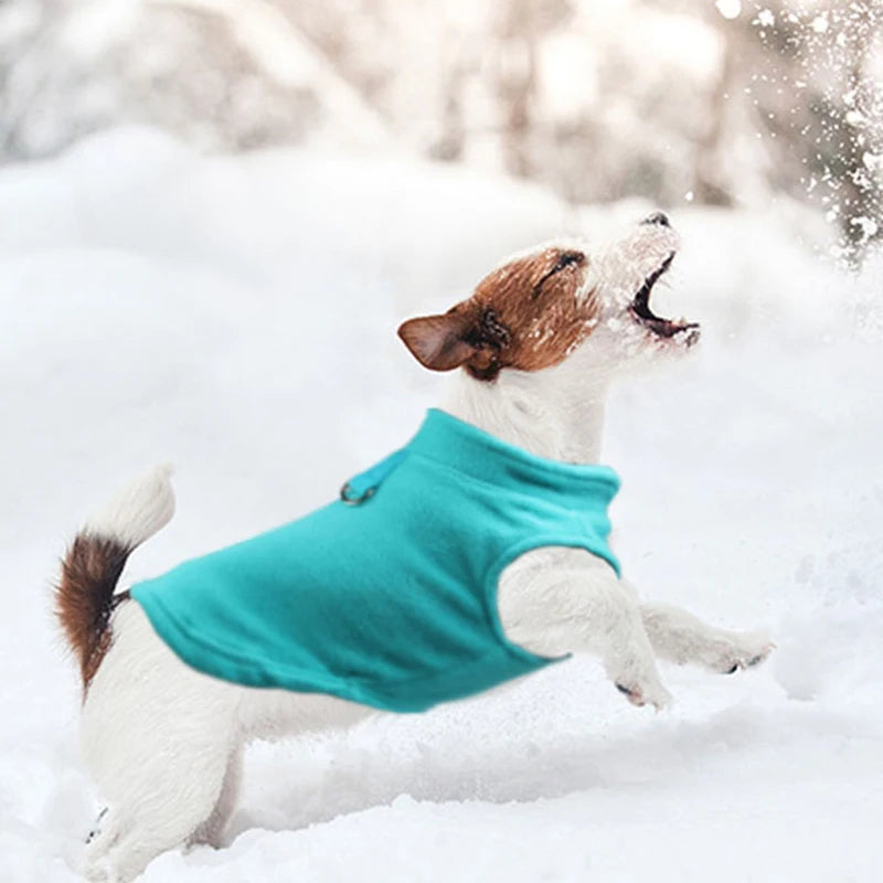 Winter Jacket for Chihuahua Puppies