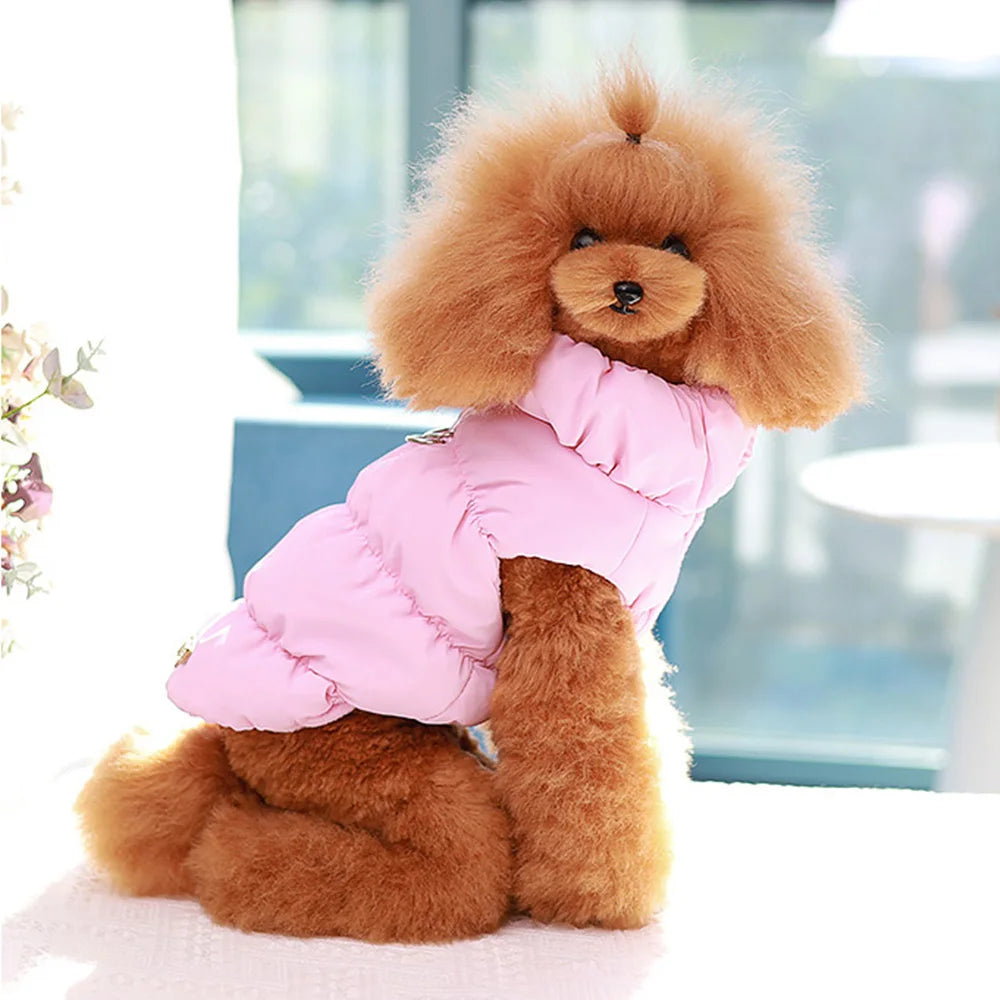 Winter Jacket for Chihuahua and Poodles