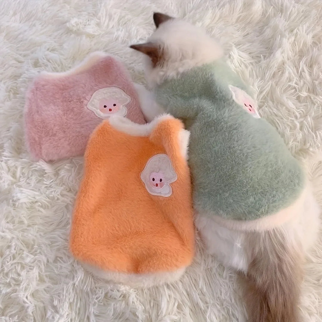 Winter Kitten Clothes for Cold Weather
