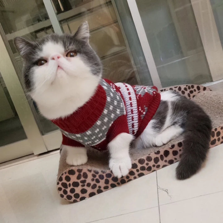 Winter Pullover for Cats
