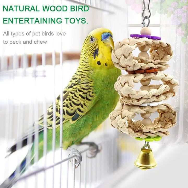 Wooden Parrot Toy Set with Swing, Bell