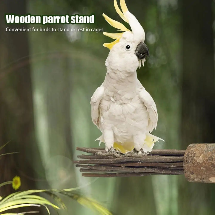 Wooden Pole Bird Stand