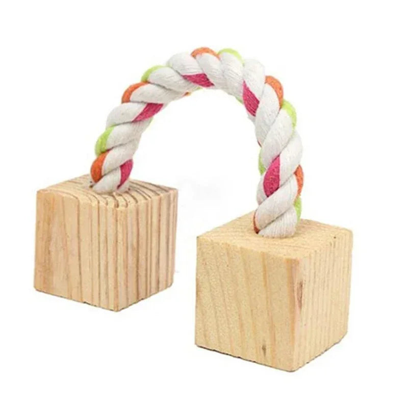 Wooden Unicycle for Small Animals
