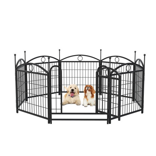Black metal pet playpen with two dogs
