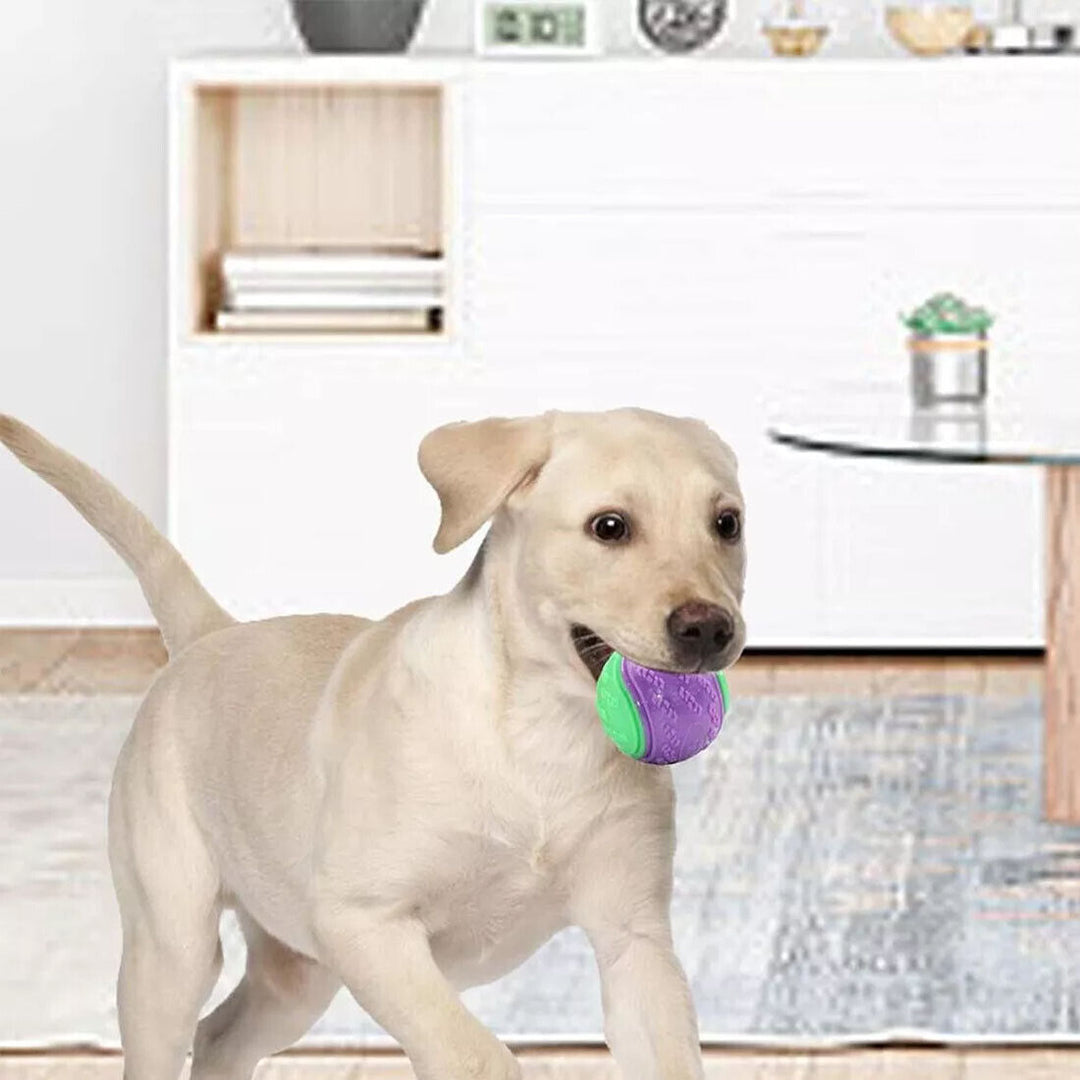 Interactive Dog Toy Set