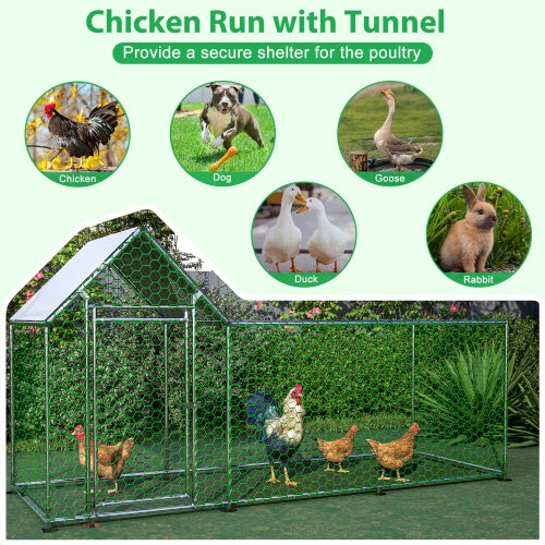Chicken Run with Tunnel