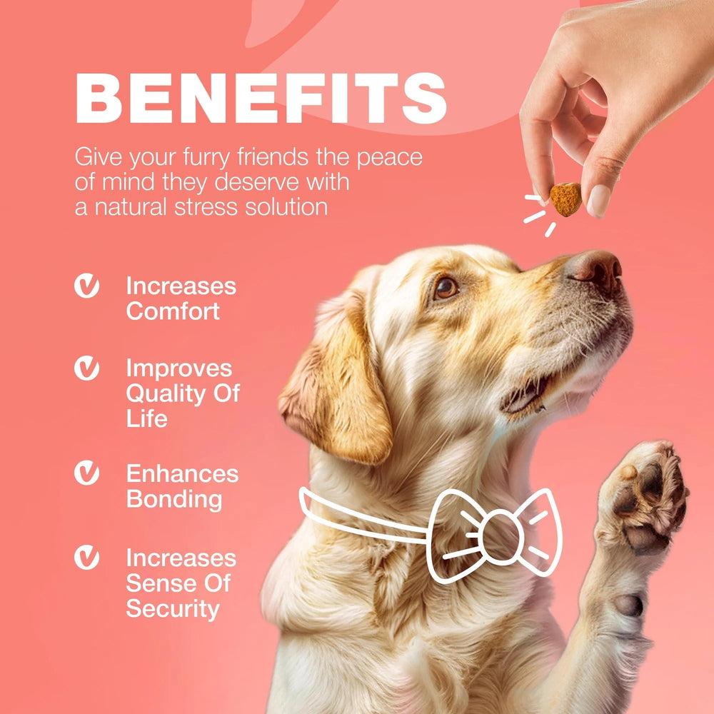 Benefits Flea Tick Chews