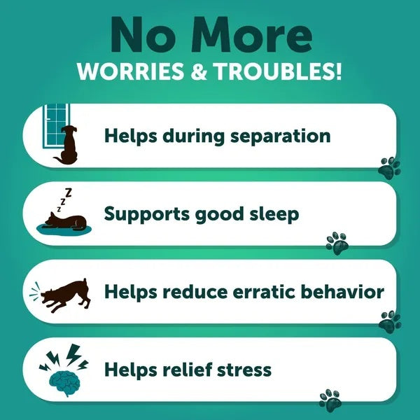 Benefits of Hemp Calming Chews 