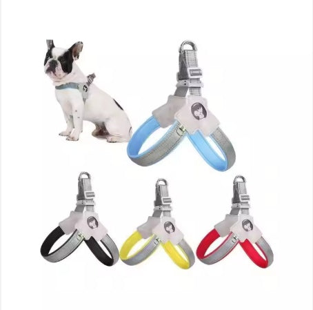 YT Pet Harness And Leash