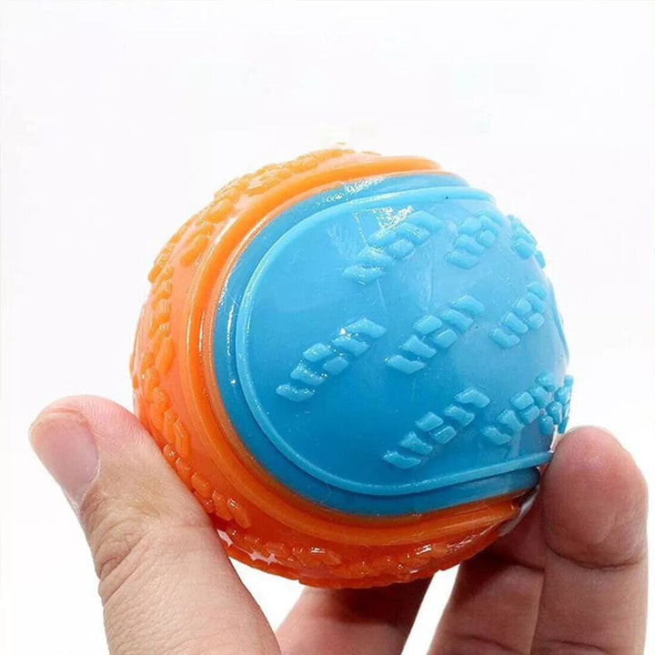 Fun Squeaky Dog Balls