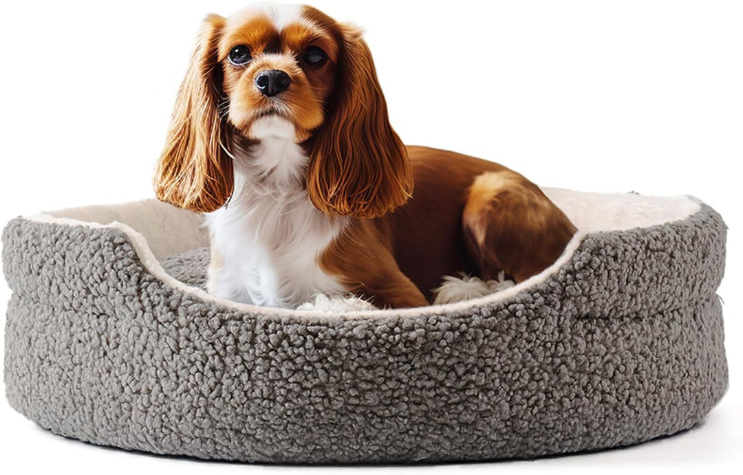Dog Sitting on Grey Cozy Pet Bed
