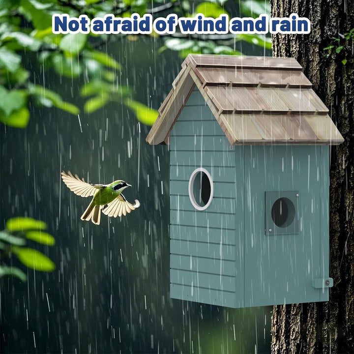 Bird Feeder With Camera