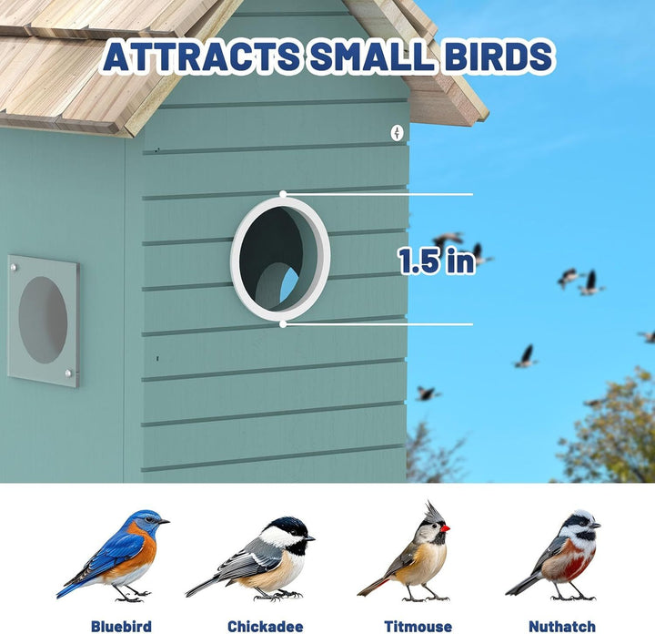 Wi-Fi Enabled Bird House