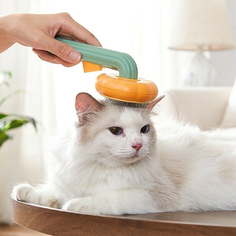 cat slicker brush for grooming