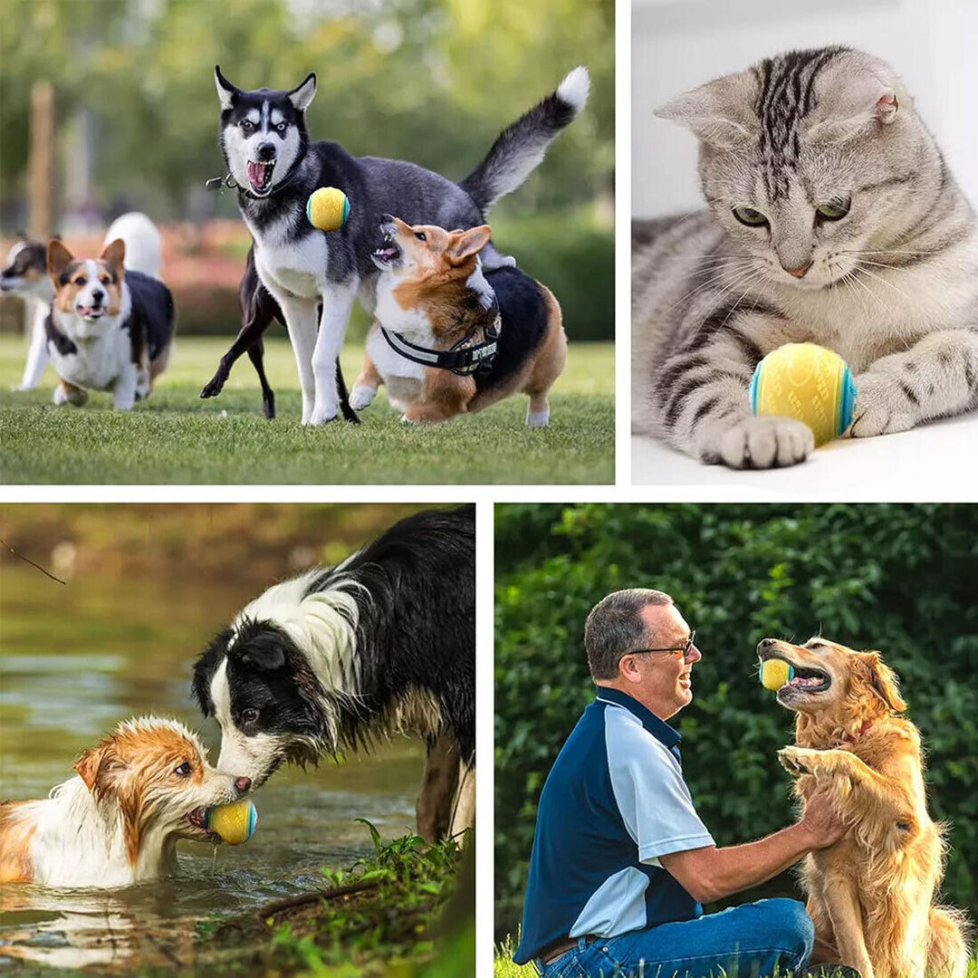 Teeth Cleaning Dog Balls