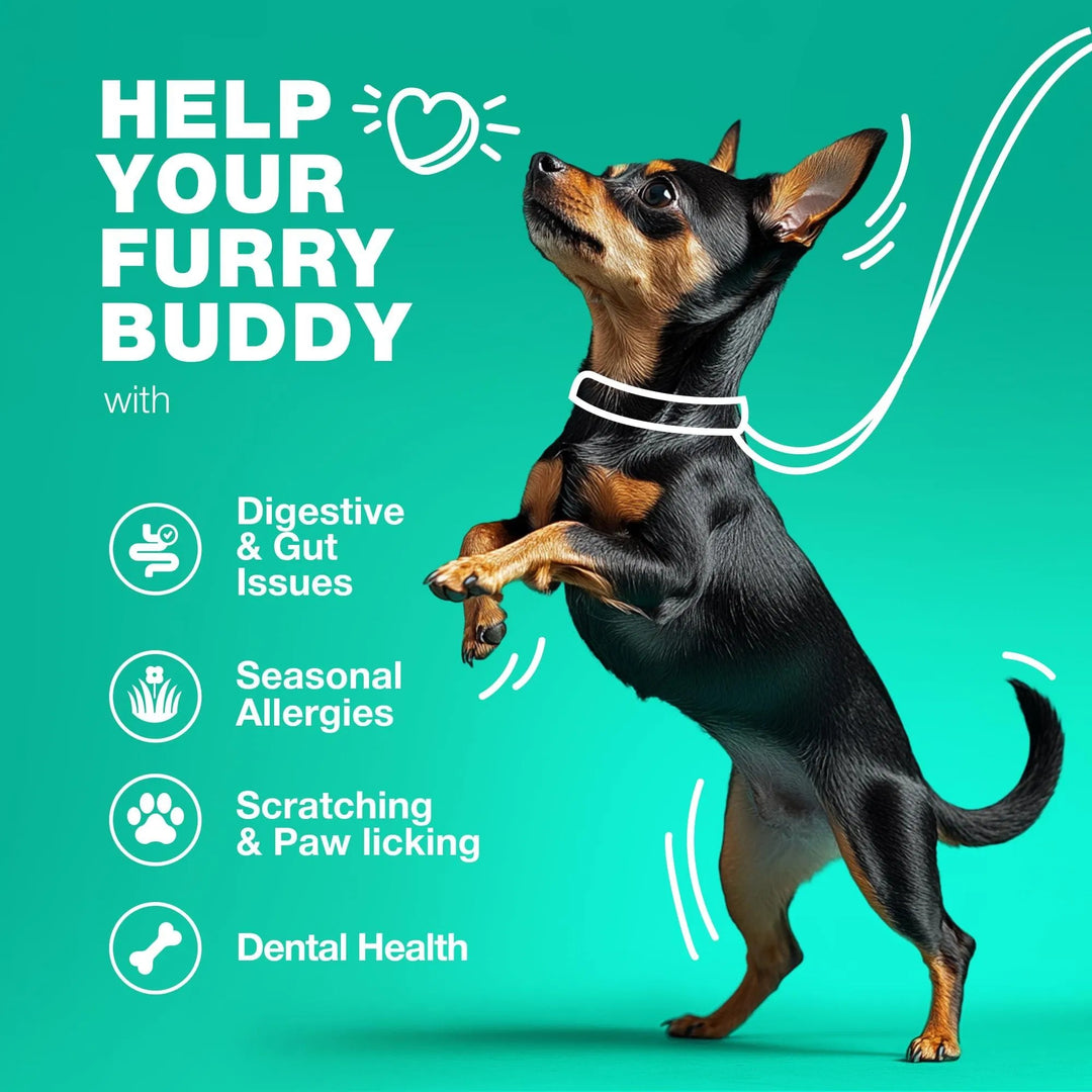 Probiotic Treats For Dogs