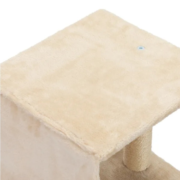 Space Efficient Cat Activity Set