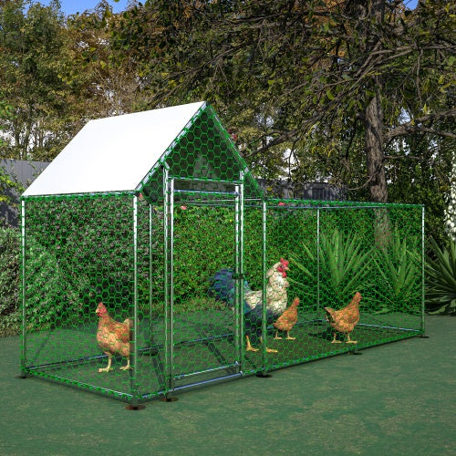 Metal Poultry Cage With Lid