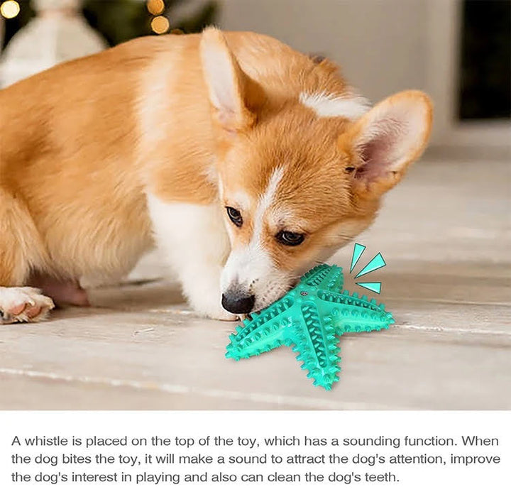 3 Pack Squeaky Toothbrush & Cotton Rope Ball Dog Toys