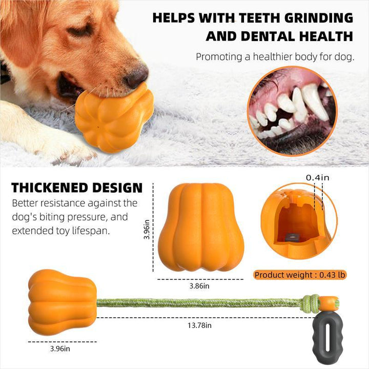 Aggressive Chewer Dog Toy