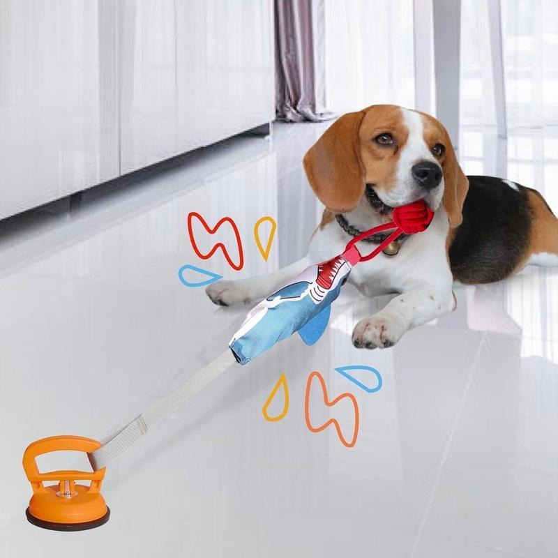 Dog Playing with suction Cup Toy