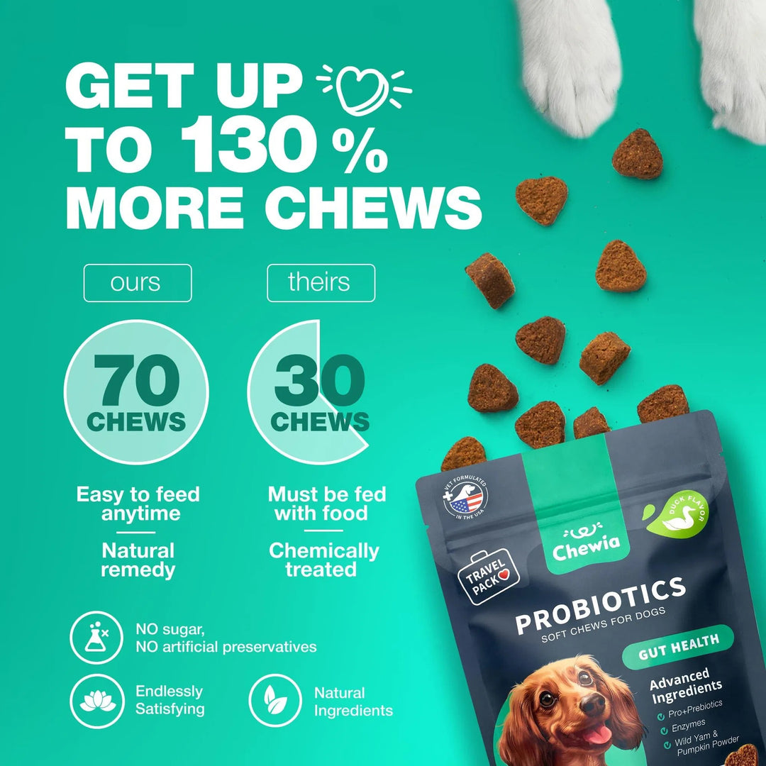Digestive Enzymes For Dogs