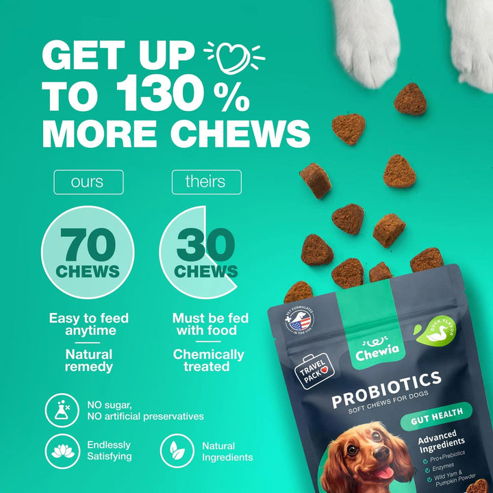 Digestive Enzymes For Dogs