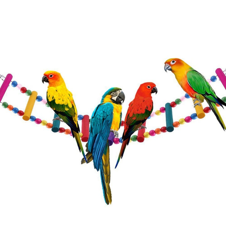 parrot Toy Set 