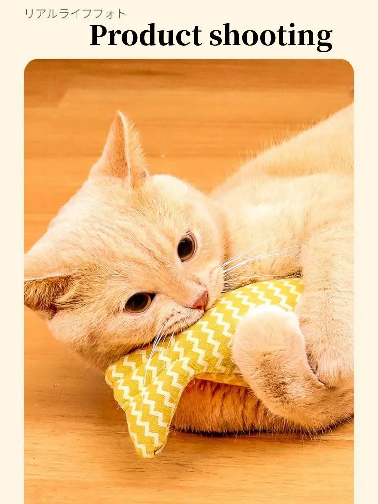 product shooting Interactive Plush Catnip Toy for Cats
