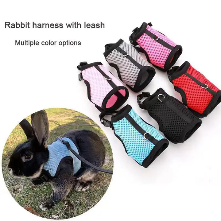 rabbit harness with leash 